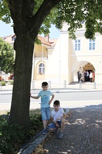 IMG 9134 1